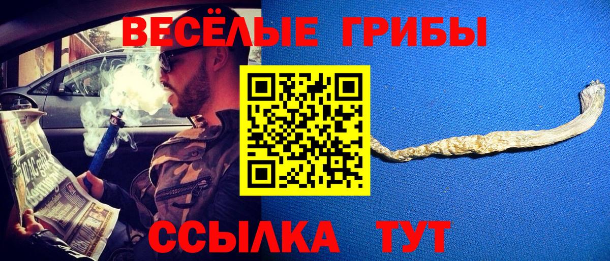 Галлюциногенные грибы Psilocybe  купить наркотики сайты  Богородск  Вход с VPN 